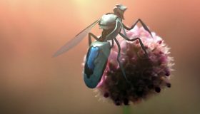 Roboterbiene bei der Bestäubung; Bild aus dem Film von Greenpeace