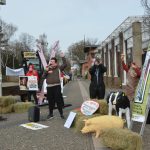 Protest mit Traktor, Kalb und Schwein bei der Agrarminister:innenkonferenz in Magdeburg